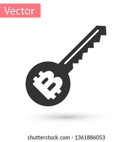 Grey Cryptocurrency key icon isolated on white background. Concept of cyber security or private key, digital key with technology interface. Vector Illustration
