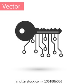 Grey Cryptocurrency key icon isolated on white background. Concept of cyber security or private key, digital key with technology interface. Vector Illustration