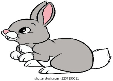 grey cute rabbit vector colored