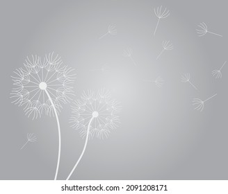 grey dandelion pattern, obituary, funral, loss background - vector illustration