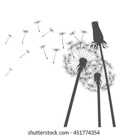 Grey dandelions. Vector Illustration.
