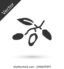 Icono de fruta de Fecha gris aislado en fondo blanco. Vector
