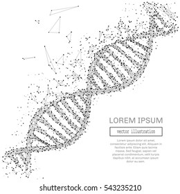 Grey DNA with polygon line on black abstract background. Polygonal space low poly with connecting dots and lines. Connection structure. Vector science background.