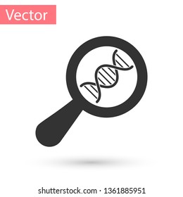 Grey DNA research, search icon isolated on white background. Magnifying glass and dna chain. Genetic engineering, cloning, paternity testing. Vector Illustration