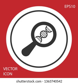 Grey DNA research, search icon isolated on red background. Magnifying glass and dna chain. Genetic engineering, cloning, paternity testing. White circle button. Vector Illustration