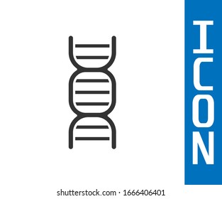 Grey DNA symbol icon isolated on white background.  Vector Illustration
