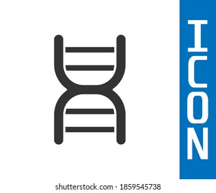 Grey DNA symbol icon isolated on white background.  Vector