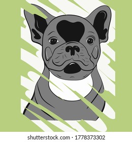 A grey dog on a green background, vector illustration, apparel, interior poster, print