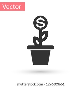 Grey Dollar plant in the pot icon isolated on white background. Business investment growth concept. Money savings and investment. Vector Illustration