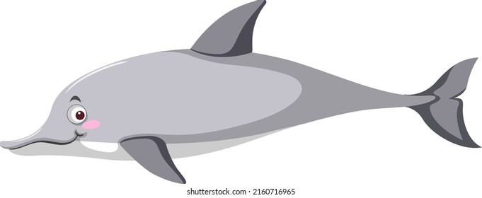 Grey Dolphin In Cartoon Style Illustration