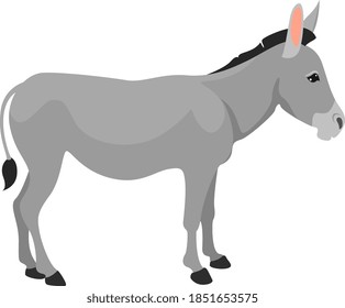 Grey donkey, illustration, vector on white background