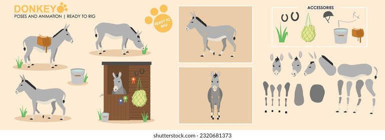 Colección vectorial de burro gris lista para animar y amarrar. Múltiples poses y ángulos, animales de granja, caminatas, pastoreo, establo.