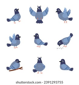 Grey Dove Bird with Wing and Beak in Different Pose Vector Set