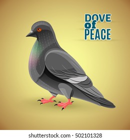 Grey dove. Dove of Peace. Vector illustration