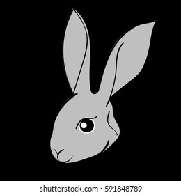Grey easter rabbit black background Animal