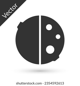 Grey Eclipse of the sun icon isolated on white background. Total sonar eclipse.  Vector Illustration