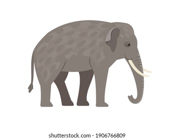 Grey elephant. Cartoon big character of zoo, funny and dangerous animal, vector illustration of exotic beast of wildlife isolated on white background