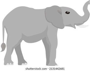 Grey elephant, illustration, vector on a white background.