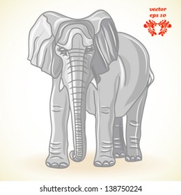 grey elephant , isolated on white background vector
