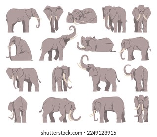 Grey Elephant as Large African Animal with Trunk in Different Pose Big Vector Set