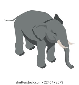 elefante gris sobre fondo blanco Ilustración vectorial isométrica 3d