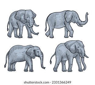 grey Elephant  vector illustration with shading consisting of three images