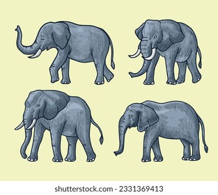 grey Elephant  vector illustration with shading and consisting of three images