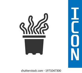 Grey Exotic tropical plant in pot icon isolated on white background.  Vector