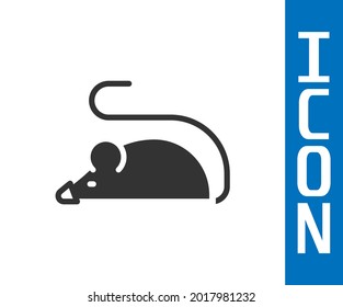 Grey Experimental mouse icon isolated on white background.  Vector