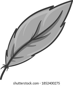 Grey feather, illustration, vector on white background