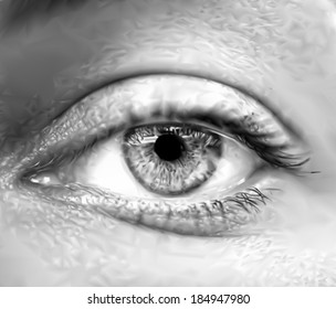 Grey female eye macro. Vector