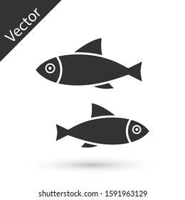 Grey Fish icon isolated on white background.  Vector Illustration