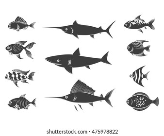 Grey fish silhouettes set isolated on white background. Vector illustration