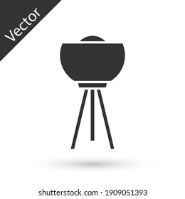 Grey Floor lamp icon isolated on white background. Vector.