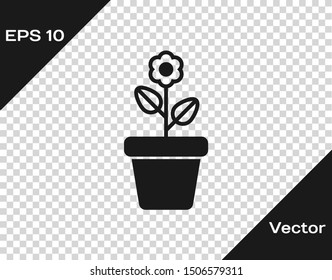 Grey Flower in pot icon isolated on transparent background. Plant growing in a pot. Potted plant sign.  Vector Illustration