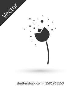 Grey Flower producing pollen in atmosphere icon isolated on white background.  Vector Illustration