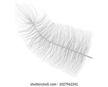 Grey Fluff on White. Beautiful Hand Drawn Feathers Isolated. Fluff for Wallpaper, Illustration, Carnival, Masquerade, Invitation, Paper, Textile. Decoration Element for Your Design.