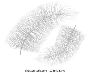 Grey Fluff on White. Beautiful Hand Drawn Feathers Isolated. Fluff for Wallpaper, Illustration, Carnival, Masquerade, Invitation, Paper, Textile. Decoration Element for Your Design.