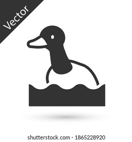 Grey Flying duck icon isolated on white background.  Vector