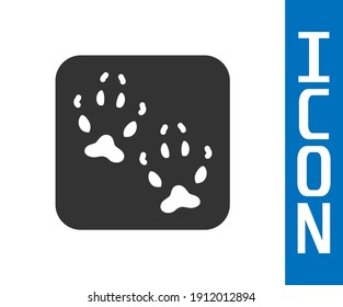 Grey Fox paw footprint icon isolated on white background.  Vector