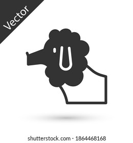 Grey French poodle dog icon isolated on white background. Vector.