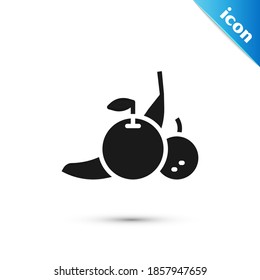 Grey Fruit icon isolated on white background.  Vector