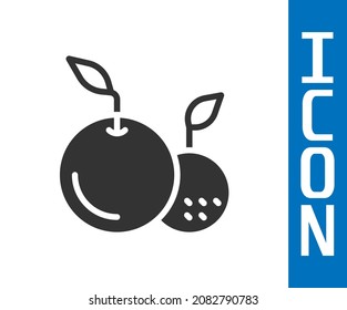 Grey Fruit icon isolated on white background.  Vector