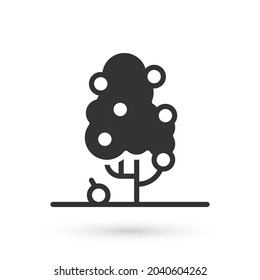 Grey Fruit tree icon isolated on white background. Agricultural plant. Organic farm product. Fruit garden. Gardening theme.  Vector