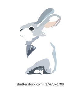 Grey furry cute rabbit looks straight. Isolated on a white background. Easter bunny.