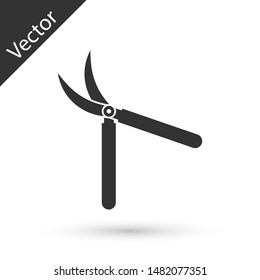 Grey Gardening handmade scissors for trimming icon isolated on white background. Pruning shears with wooden handles.  Vector Illustration