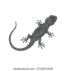 Ilustração de vetor de lagartixa cinza com cauda ondulada e olho detalhado isolado no fundo branco limpo