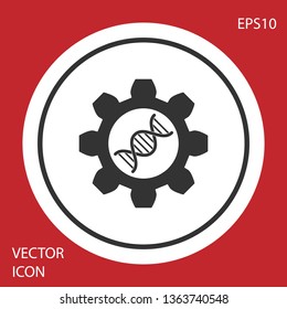 Grey Genetic engineering icon isolated on red background. DNA analysis, genetics testing, cloning, paternity testing. White circle button. Vector Illustration