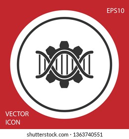 Grey Genetic engineering icon isolated on red background. DNA analysis, genetics testing, cloning, paternity testing. White circle button. Vector Illustration