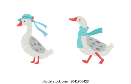 Grey Goose Character Wearing Hat and Scarf Walking Vector Set